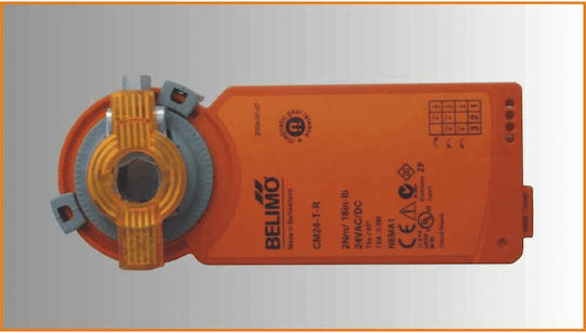 Vigas 100 Boiler pentru / lemn 85984kcal/h