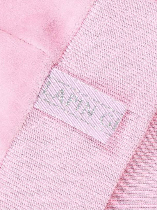 Lapin