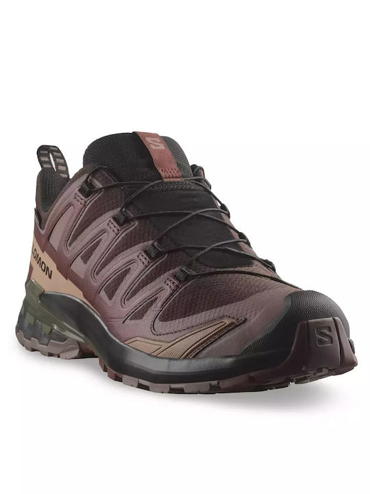 Salomon Xa Pro 3d Men's Hiking Shoes Waterproof with Gore-Tex Membrane Brown