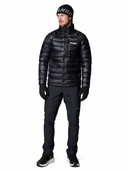 Arctic Geci Barbat Negru