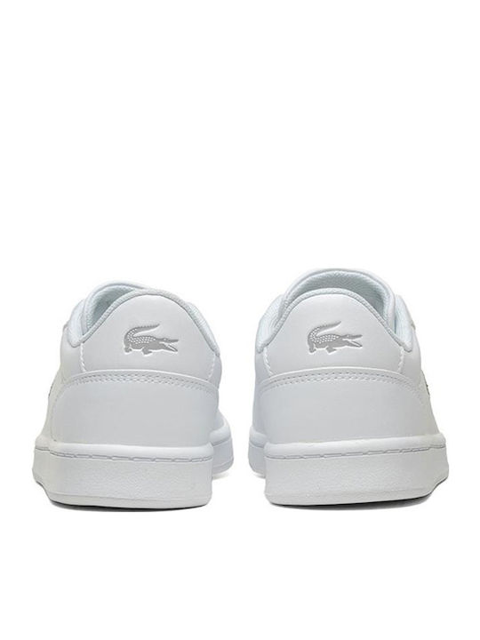 Carnaby Παιδικά Sneakers Λευκά