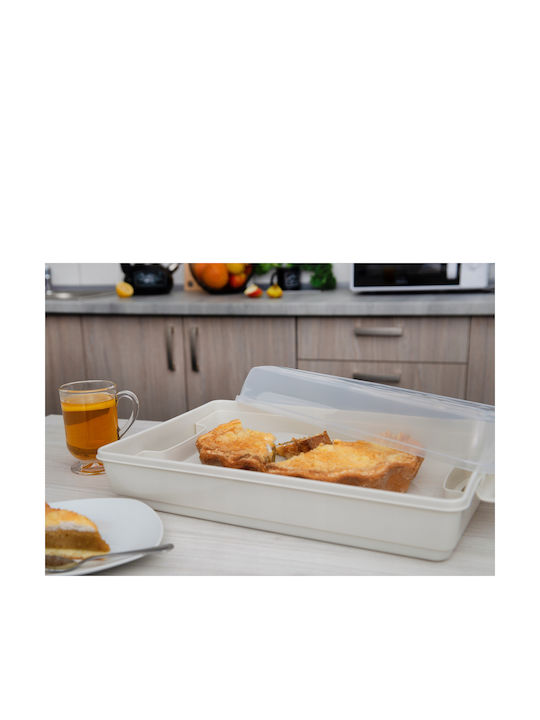 Kadax Plastic Container Cake Pastries Rectangular Large Box