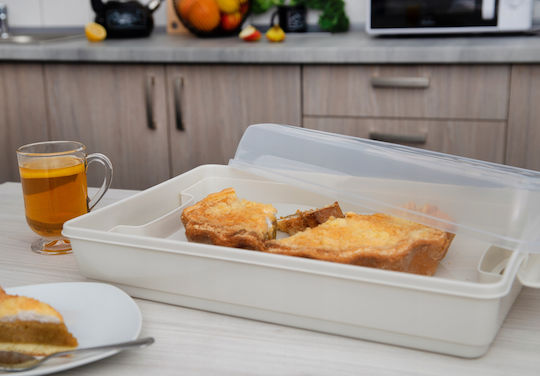 Kadax Plastic Container Cake Pastries Rectangular Large Box