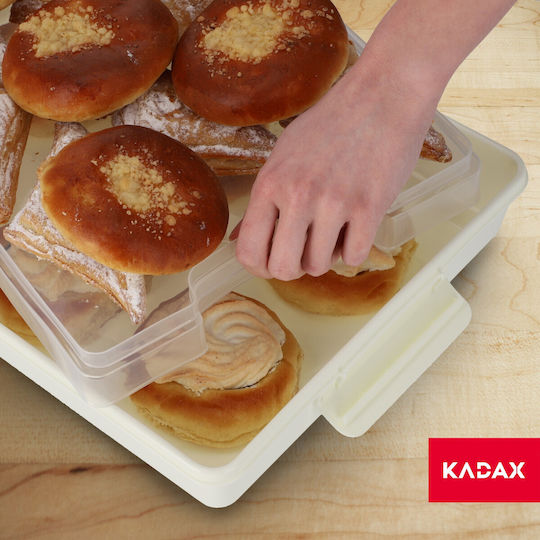 Kadax Plastic Container Cake Pastries Rectangular Large Box