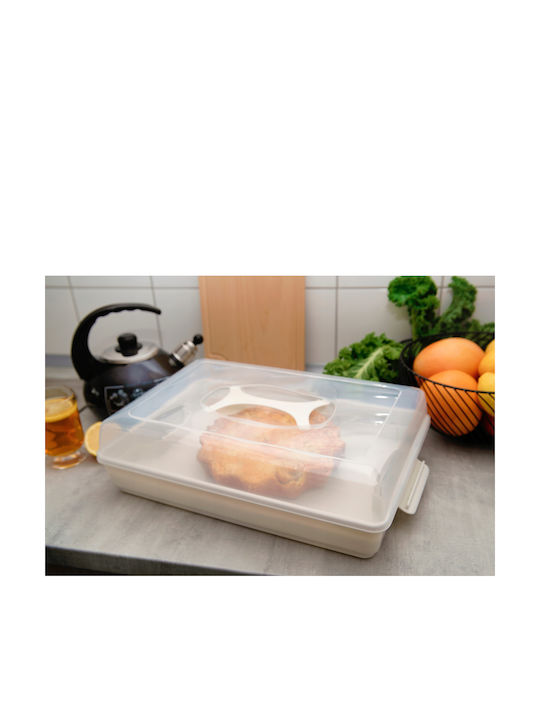 Kadax Plastic Container Cake Pastries Rectangular Large Box