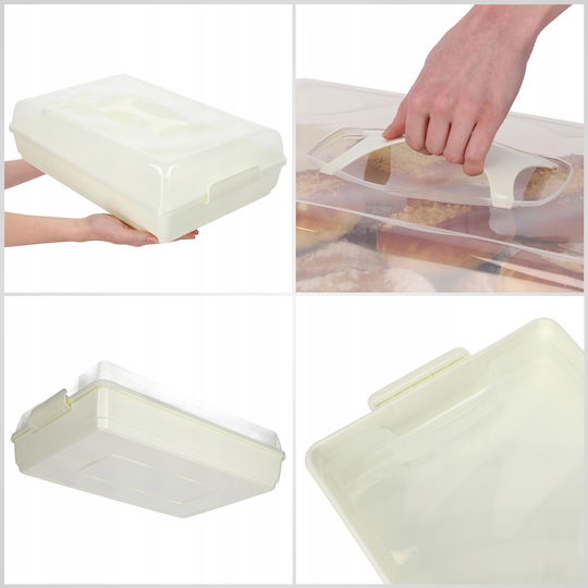 Kadax Plastic Container Cake Pastries Rectangular Large Box