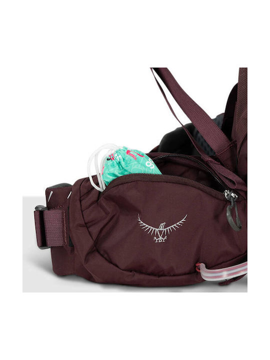 Osprey Kyte 68 Mountaineering Backpack 68lt Purple 10004776 Osprey Kyte 68 Mountaineering Backpack 68lt Purple 10004776