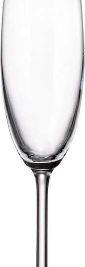 Bohemia Colibri Set of Glasses Champagne / White Wine made of Crystal Stemmed 220ml 6pcs