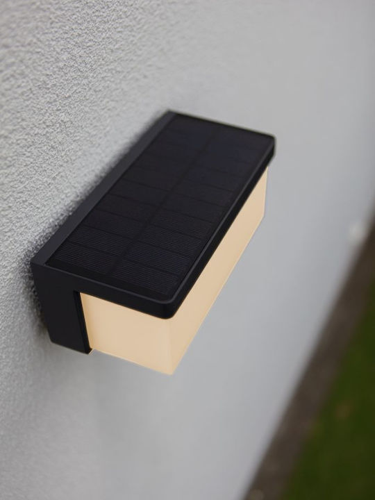 Lutec Wall-Mounted Outdoor Light
