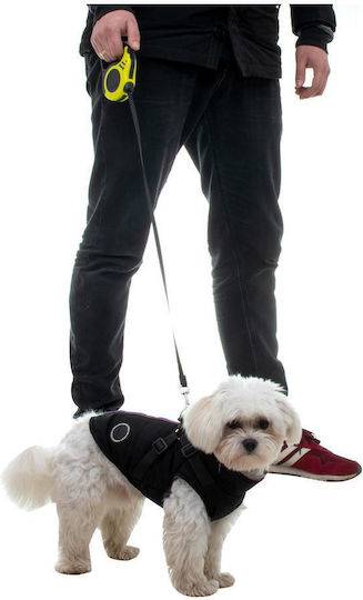 Dog Leash/Lead Strap in Yellow color up to 8kg
