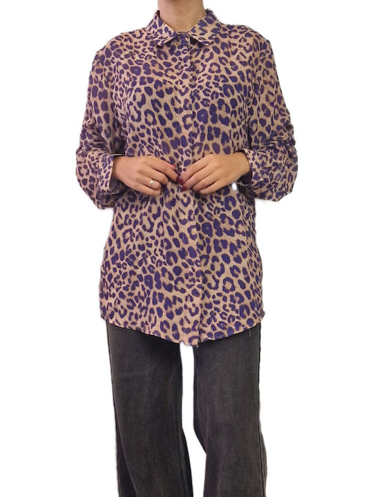 New Collection New Collection