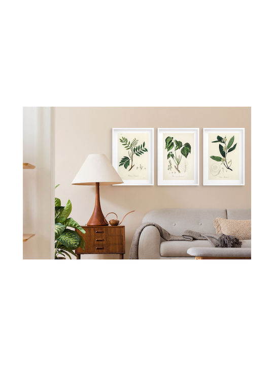 Poster Küchenpflanzen Herbarium Wanddekoration Vintage Stil 3x30x40