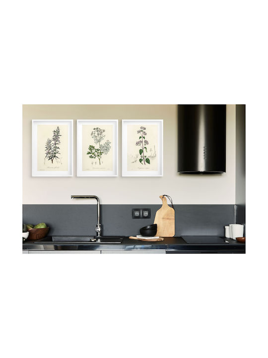 Küchenwandposter Kräuterzweige Dekoratives Kräutergarten 3x 30x40