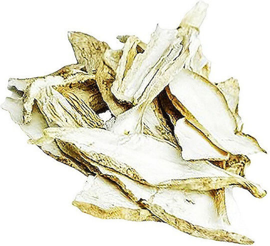 Spice Shop Getrocknete Pilze Coprinus 200g