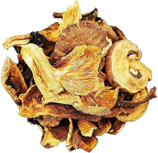 Gewürzladen Getrocknete Waldpilzmischung 50g