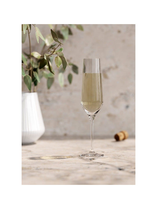 Eva Solo Set of Glasses Champagne made of Glass Stemmed 260ml 6pcs