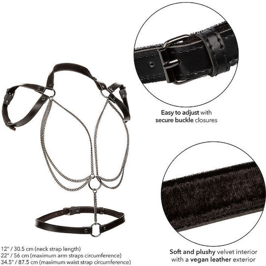 Calexotics Harness Πολύχρωμο