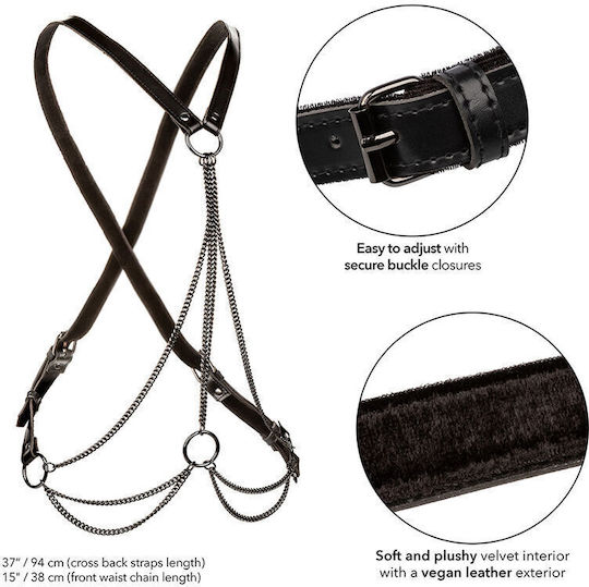 Calexotics Harness Πολύχρωμο