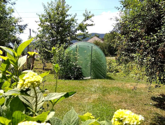 Garden Greenhouse Tunnel Type Metal Frame 300x200cm Green 6sqm