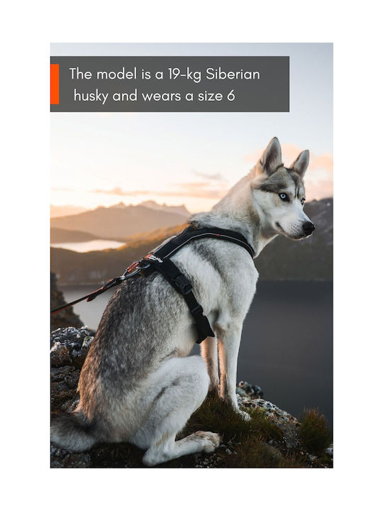 Non-stop dogwear Нагръдник за куче Черен lineol6