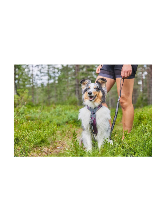 Non-stop dogwear Нагръдник за куче Черен lineol4
