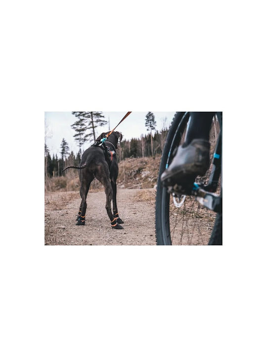 Botosei Protector Non-stop Dogwear _ Botosei de Protecție Xs Lățime 3-4cm