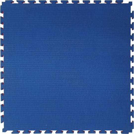 Olympus Sport Gym Equipment Flooring Double Sided Red/Blue 100x100x2cm 1 Piece