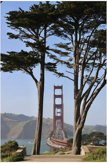 Πίνακας Golden Gate Bridge Framed By Trees Golden Gate Bridge Πλαισιώνεται Δέντρα 100x150