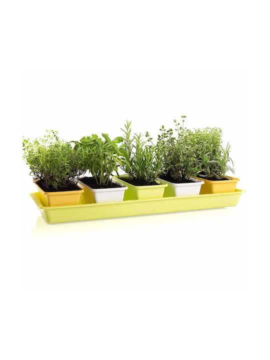 Hydrostab Minigarden Planter Set 2L Water 3.9L Soil 60x20x9cm Yellow-Orange