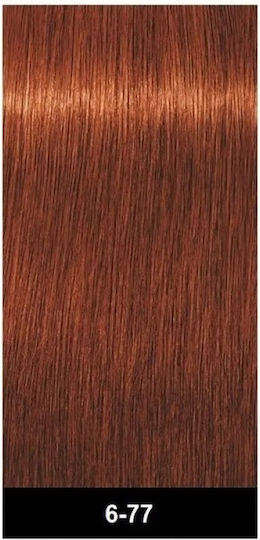 Schwarzkopf Igora Royal Vopsea de Păr 6-77 Blond Închis Intens Arămiu 60ml