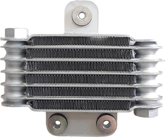 Cardinals Motorcycle Oil Engine Radiator Yamaha Crypton-X 135