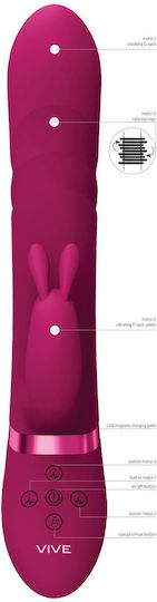 Vive Vibrating Vibrator Iepurele 22cm Roz