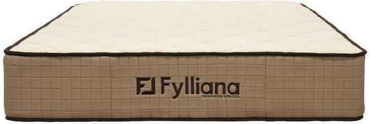 Fylliana Luxury Semi-double Anatomic Saltea 110x200x30cm