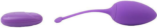 Chisa Novelties Sweety Teaser Rechargable Bullet Vibrator Ei mit Fernbedienung 14.5cm Purple