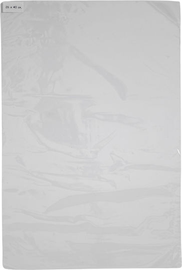 Food Packaging Bag L35xW20cm