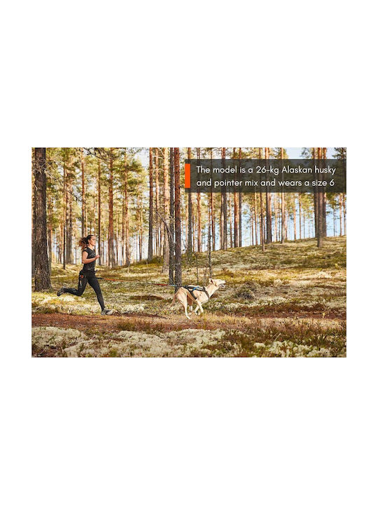 Non-stop dogwear Σαμαράκι Σκύλου Freemotion Harness No5 (Άνοιγμα Λαιμού 46cm) Μαύρο free5