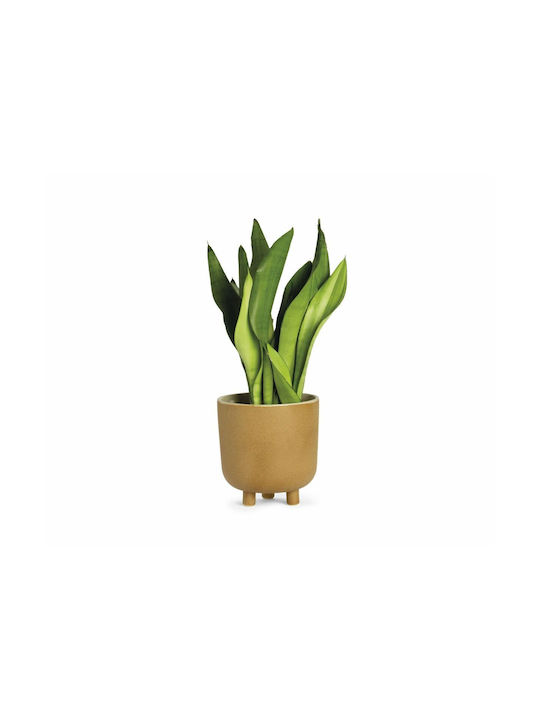Alexandra House Living Decorative Vase Beige 18x18x18cm