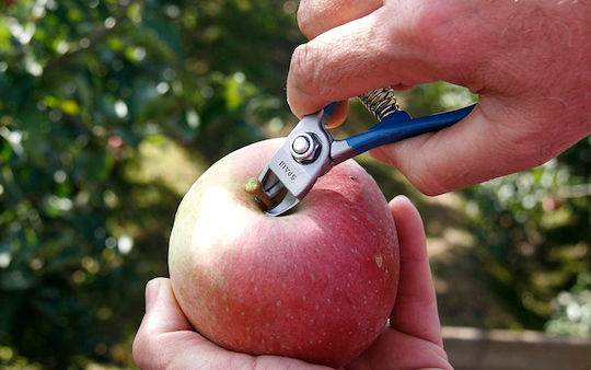 Hydrostab Vesco B10 Fruit Picking Pruning Shears