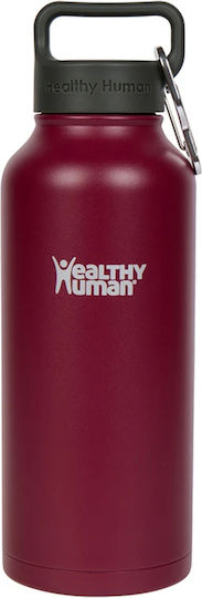 Healthy Human Stein Sticlă Termos Oțel inoxidabil 950ml Stainless steel cu Pai și Mâner