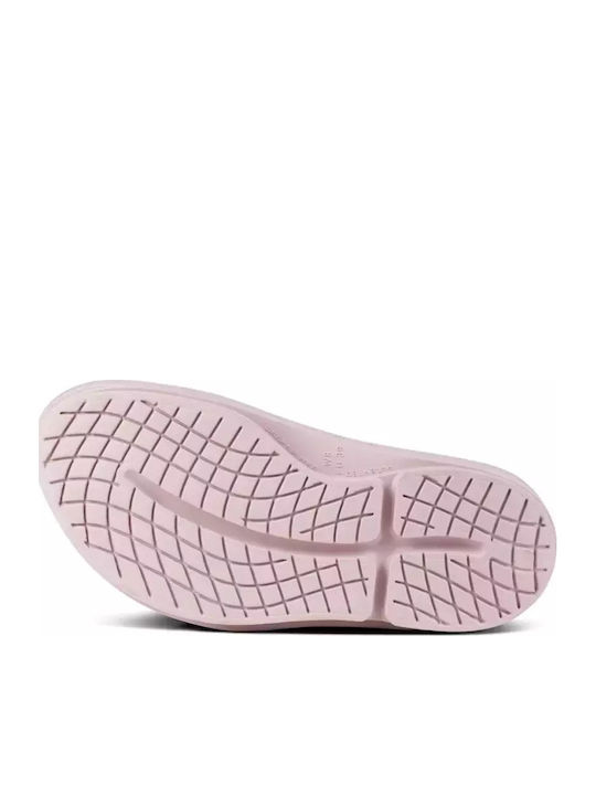 Oomega Ooahh Frauen Flip Flops in Gray Farbe