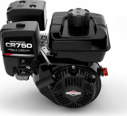 Briggs & Stratton Radgetriebener Olivenernter-Generator Briggs Stratton Gr750 6PS-90A