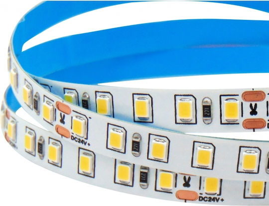 Wellmax Ταινία LED 24V Φυσικό Λευκό Φως 5m Τύπου SMD2835