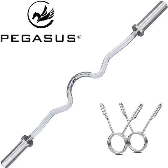 Pegasus Olympic Type Φ50 10kg Length 120cm with Lock Jaw Collars