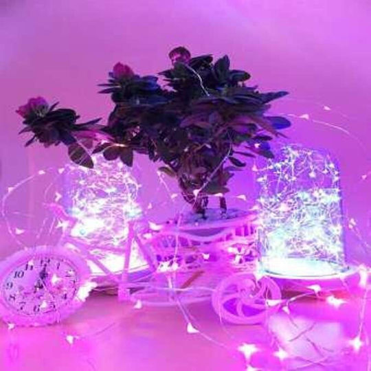 50 Λαμπάκια LED 5μ. Ροζ Μπαταρίας σε Σειρά