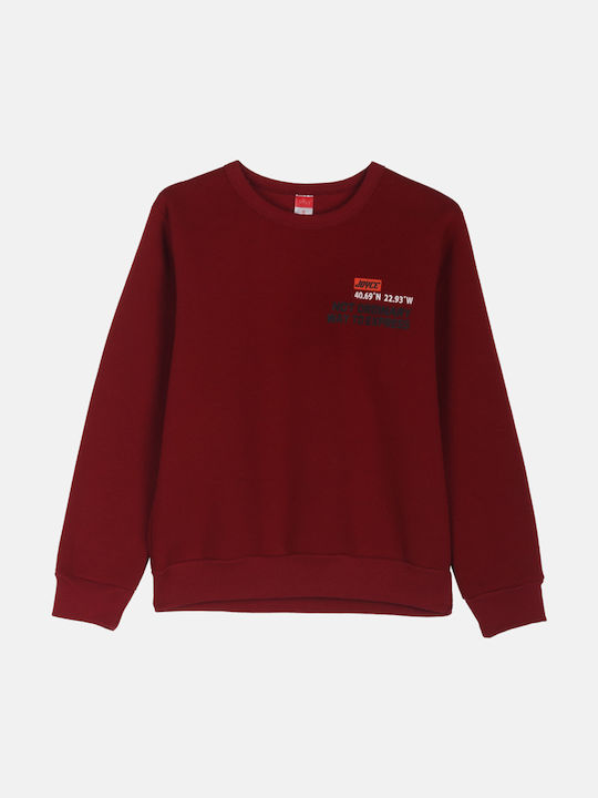 Joyce Kids Sweatshirt Wine