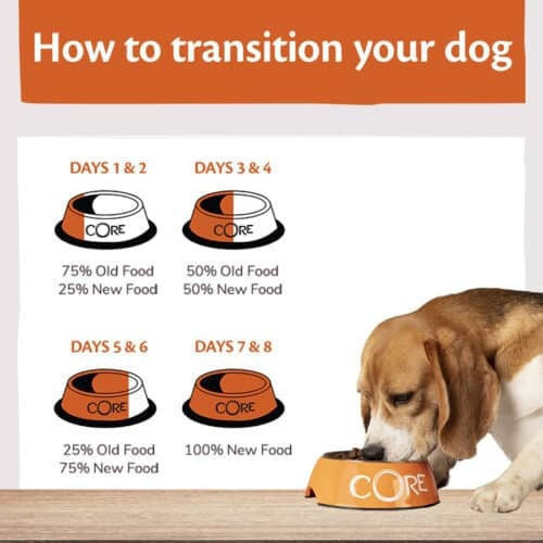 Wellness Core Adult Lamb 10kg Ξηρά Τροφή χωρίς Σιτηρά για Ενήλικους Σκύλους με Αρνί