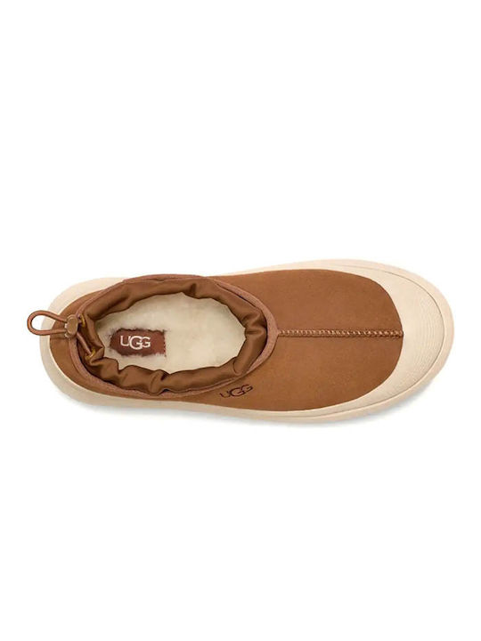 Ugg Australia Tasman Winter Women's Slippers in Brown color