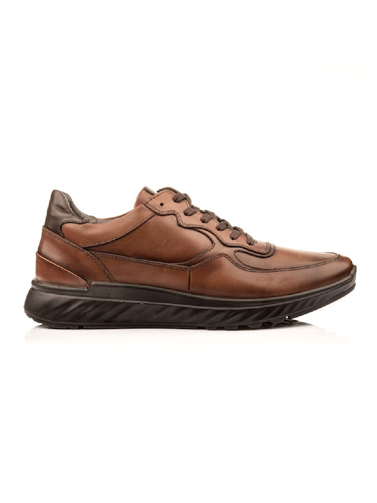 Boxer Sneakers Tabac Brown