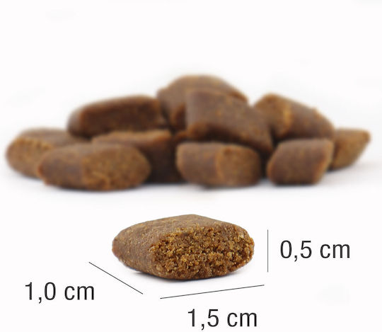 Platinum Pet Food & Care Adult Beef & Potato 15kg Dry Food Grain-Free & Gluten-Free for Adult Neutered Dogs with Calf and Potatoes
