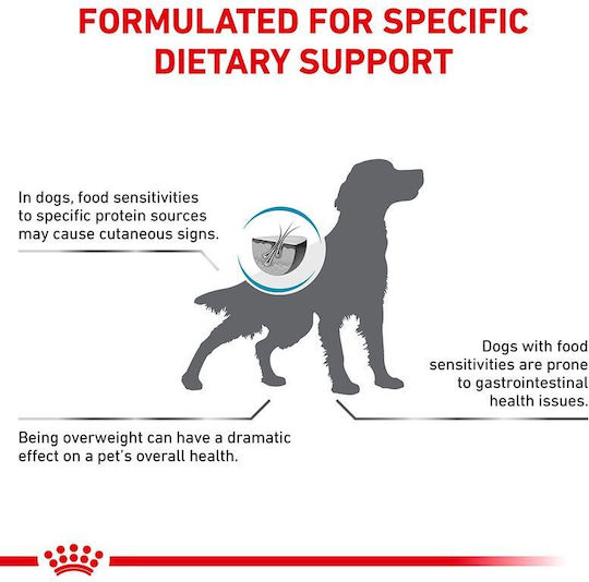 Royal Canin Hypoallergenic Moderate Calorie 14kg Dry Food Gluten-Free for Adult Dogs with Rice and Liver
